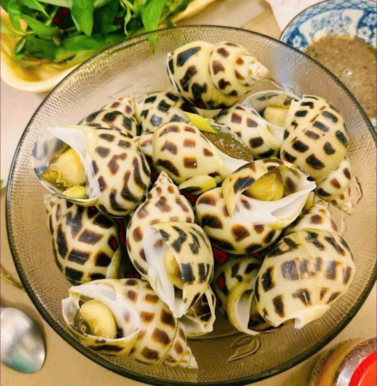 Ốc Hương: "Siêu Thực Phẩm" Dưới Lòng Đại Dương