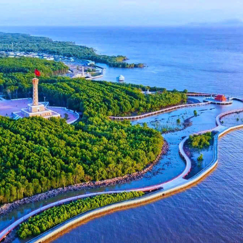 CÔNG TY TNHH XUẤT NHẬP KHẨU THIÊN TRÀ